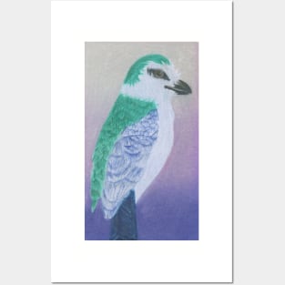 Cuckoo Roller - Bird Posters and Art